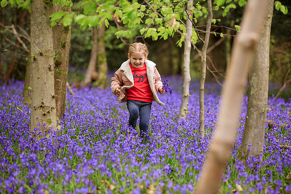 Spring Bluebells, Surrey - 14th April 2020