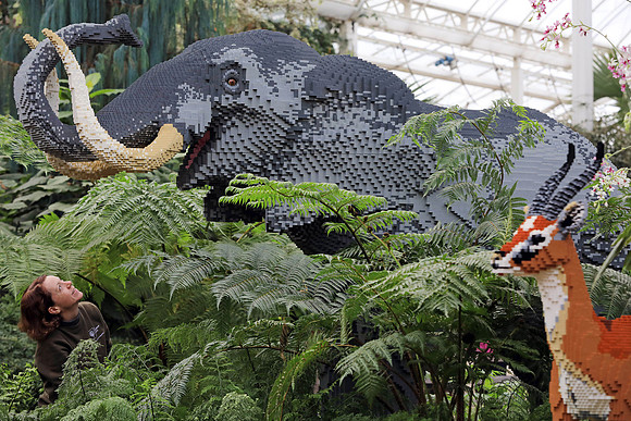 Great Brick Safari at RHS Garden Wisley - 25th Jan  2019