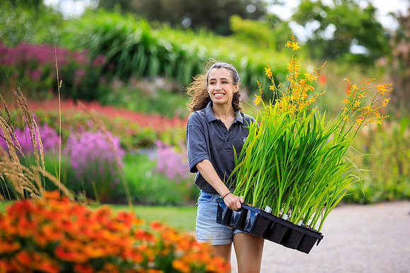 Flower Show preparations at RHS Garden Hyde Hall, Essex - 30th J