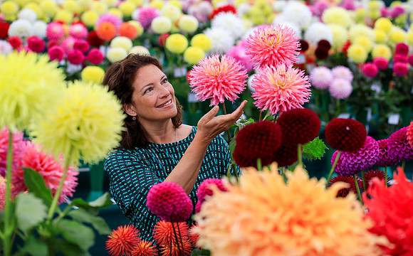 RHS Garden Wisley Flower Show Opens - 3rd September 2019