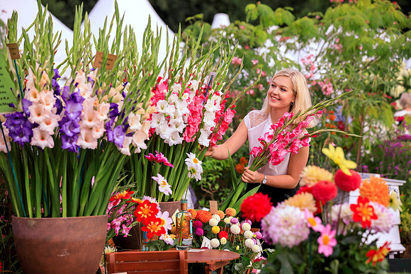 RHS Garden Wisley Flower Show Opens - 3rd September 2019