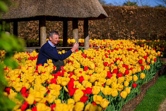 Tulip Festival - Arundel Castle, West Sussex - 16th April 2020