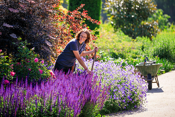 RHS Garden Wisley, Surrey