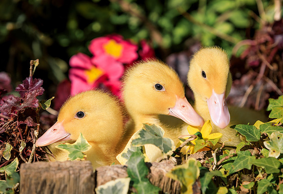 Marketing by Oliver Dixon, photographer in Surrey