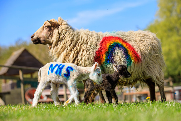 Marketing by Oliver Dixon, photographer in Surrey