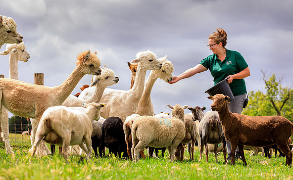 Marketing by Oliver Dixon, photographer in Surrey